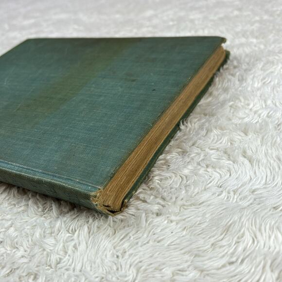 The True Story of Abraham Lincoln Elbridge S Brooks 1896 first edition antique - Picture 16 of 16